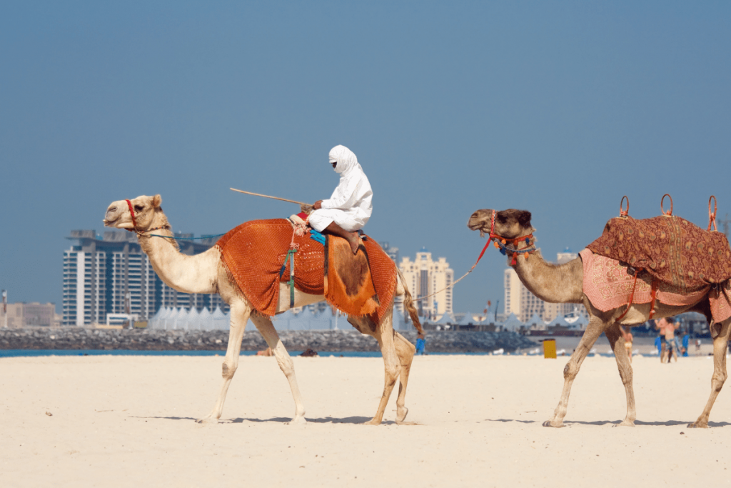 o que fazer em dubai em 5 dias