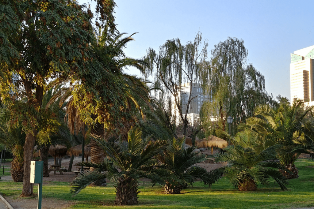 Parque Araucano