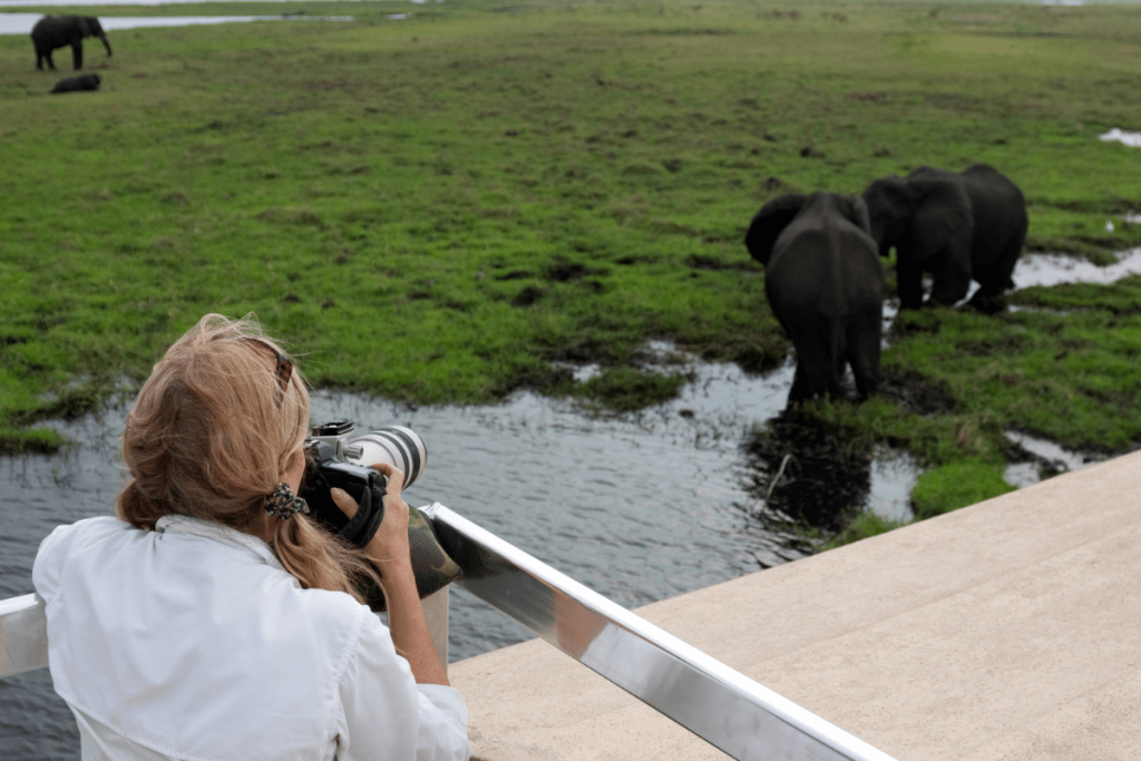 africa do sul turismo safari