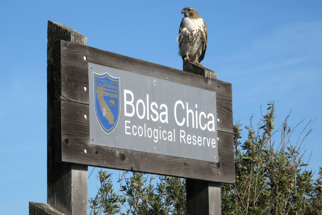Reserva Ecologica Bolsa Chica