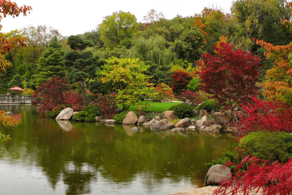 Anderson Japanese Gardens Como e viver em Illinois