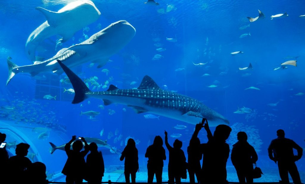 connecticut new york