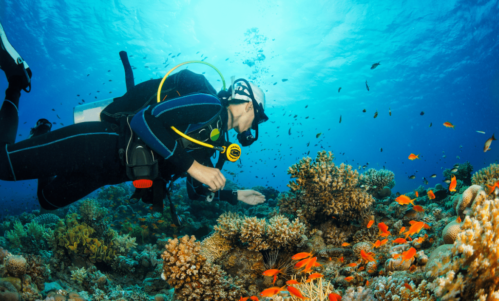 Qual o custo de vida no Chipre