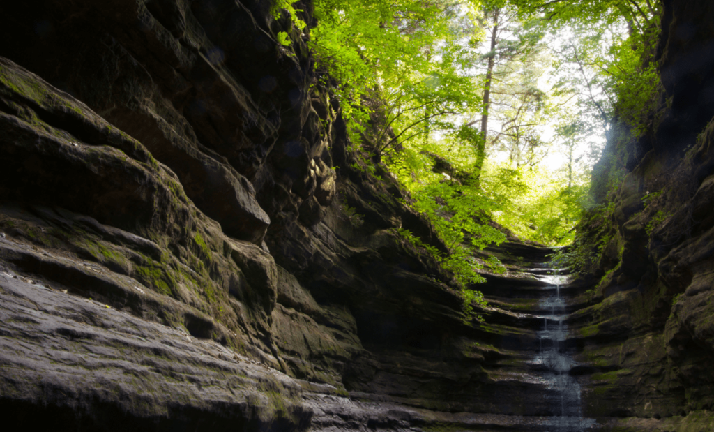 abraham lincoln frases