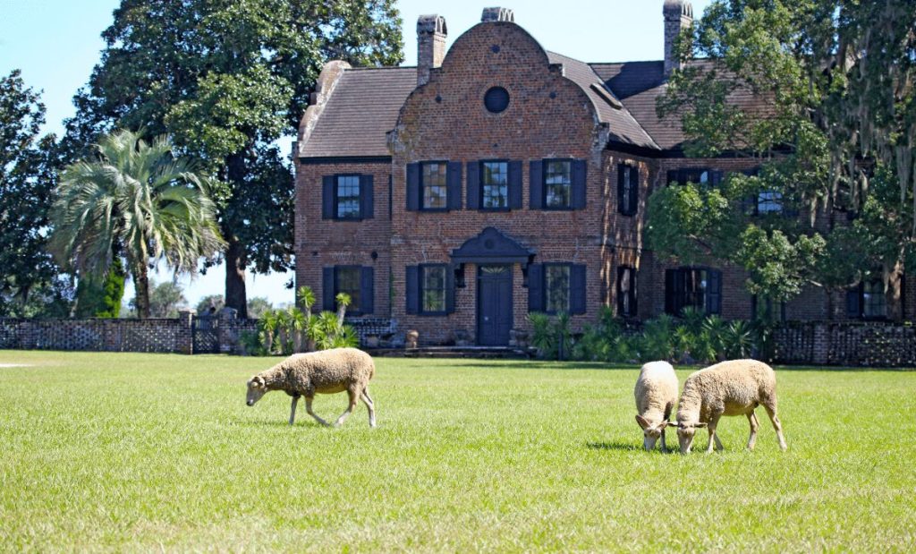 carolina do sul praias