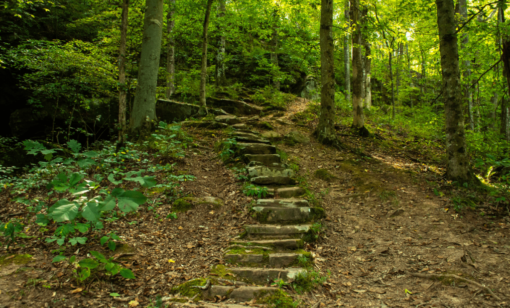 illinois pronunciation