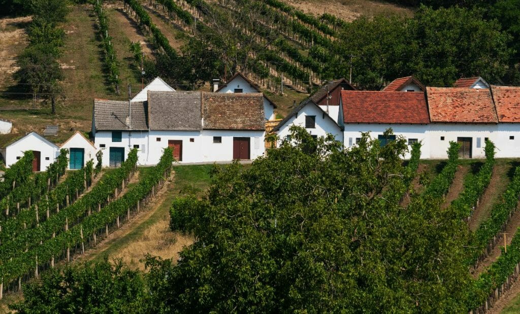 california e um pais