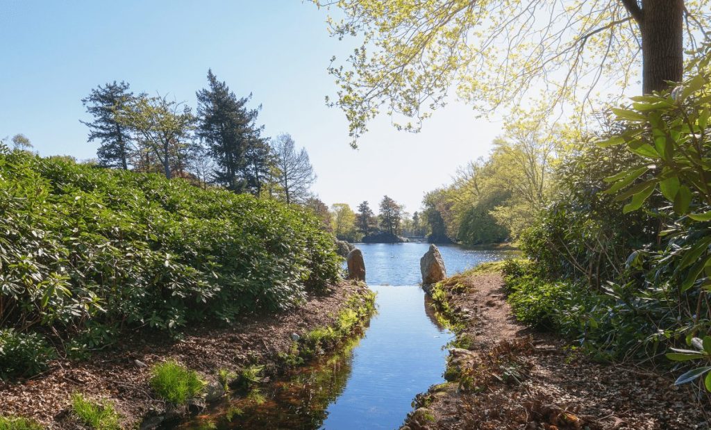 quais são os países baixos é porque
