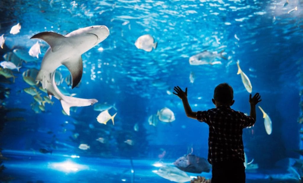 freedom trail boston