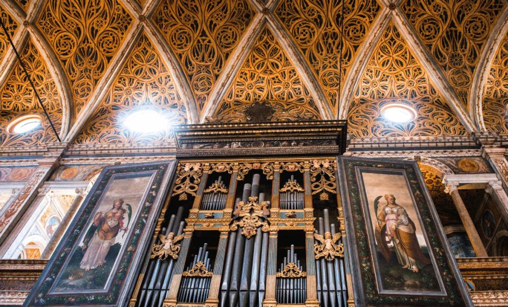 httpselquarto.comblogmilao