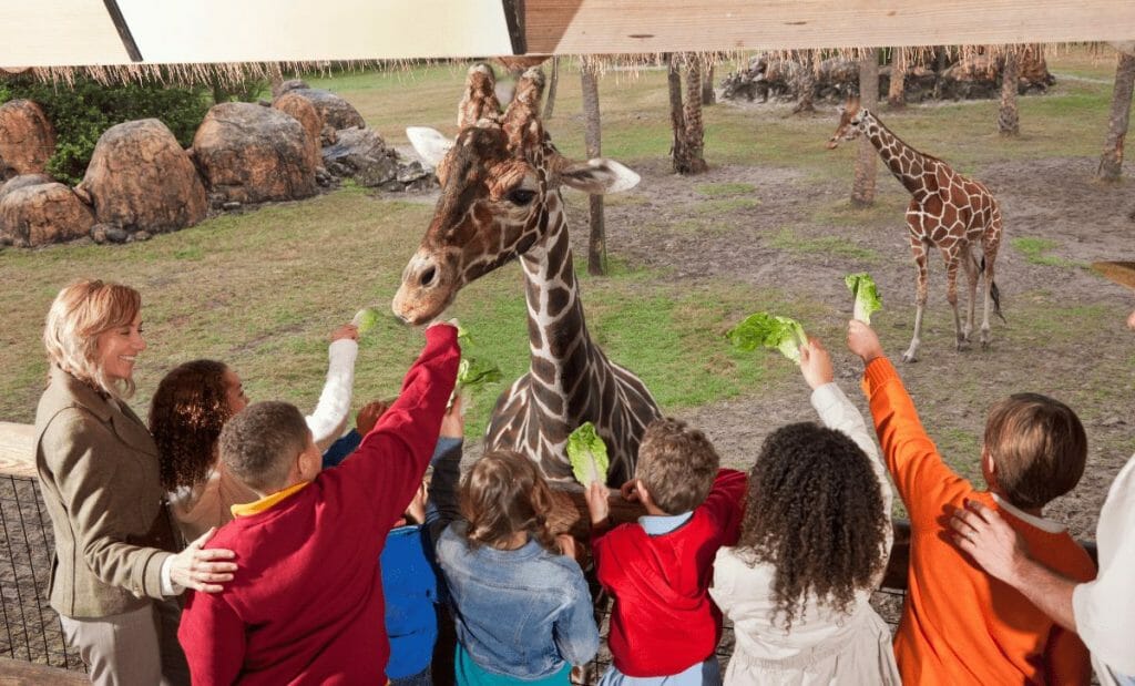 Qual o bairro mais caro de Nova York