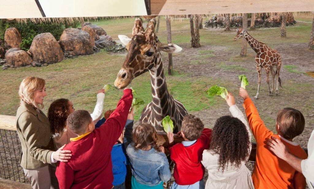 munique alemanha mapa