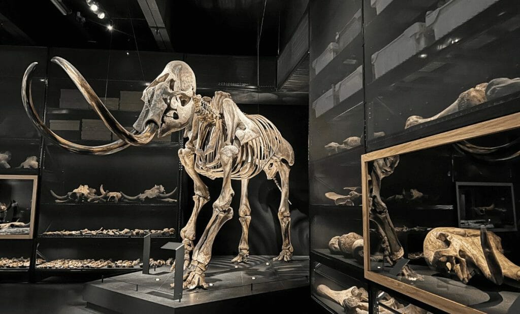 o que fazer em bergamo