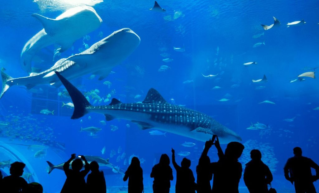 perth, austrália custo de vida