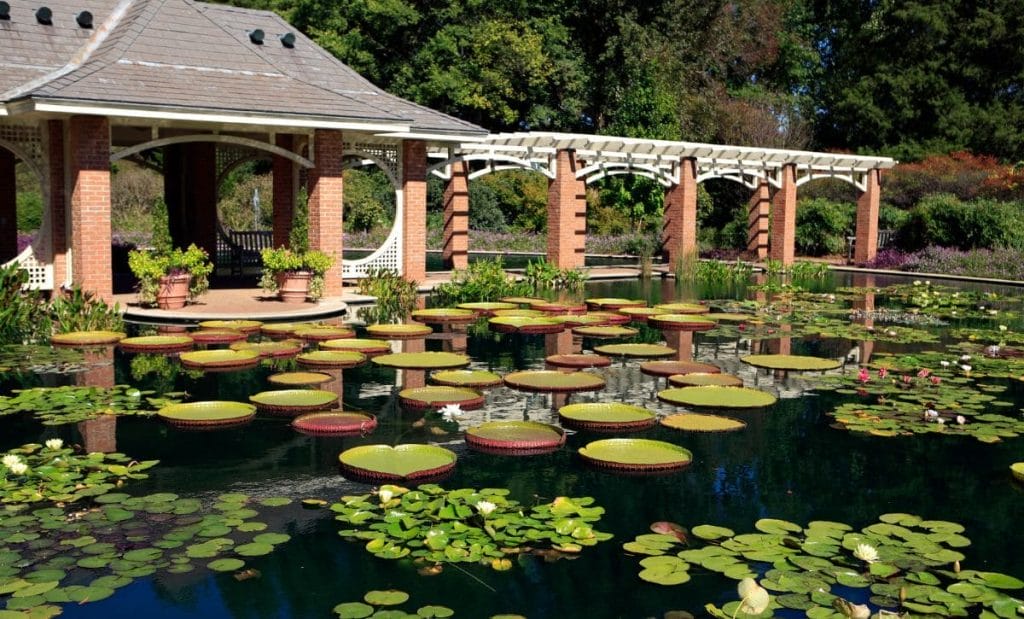 alabama curiosidades