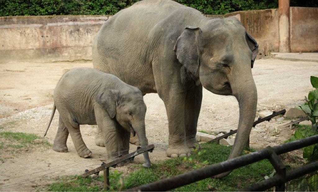 indiana eua curiosidades