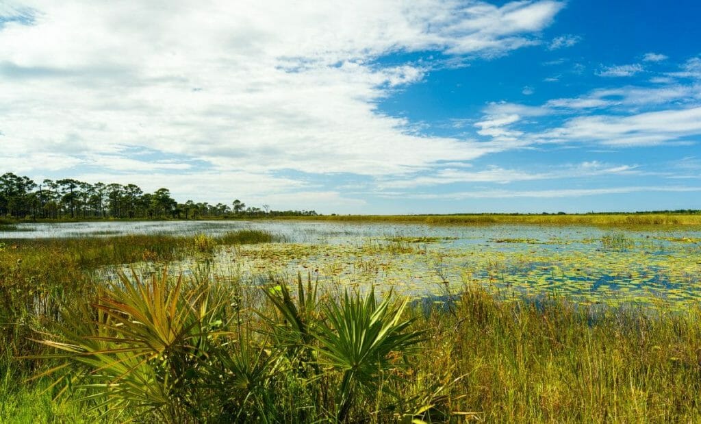 kissimmee distância orlando