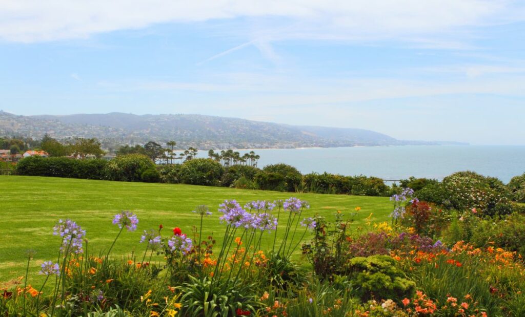 Laguna Beach a natureza além das praias
